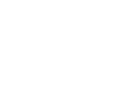 logo color selva Cómo logramos reconectar a Galletas Festival con su público objetivo y potenciar su presencia digital